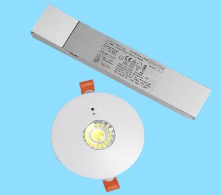 Панель вниз Светодиодный панический экстренный выход сигнал свет IP65 батарея резервная зарядка общеобразовательная школа больница Белый 10