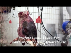 установленный кронштейн цепи света СИД доказательства 1200мм ИП68 водоустойчивый Три