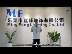Ming Feng освещая CO., LTD