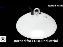 высокое освещение приведенное залива