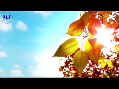 Голубь 1 Солнечный уличный фонарь