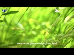 MF Солнечный уличный свет Голубь 3 видео