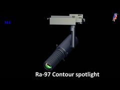 MF Контурный точечный светильник Kinfisher1