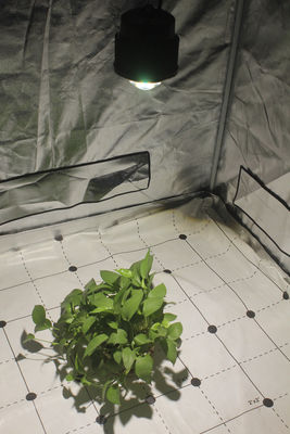 50 / 60Hz LED Grow Lighs 54W 3500K Daylight White For Closet , Cabinet