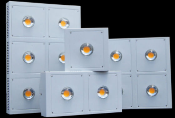 50 Watt Greenhouse Full Spectrum LED Grow Lights Use CREE CXA2530 / CXB3590