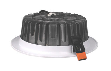 30w 2400LM White Ceiling Light Fixture Warm White Pure White