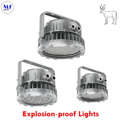 240W LED Explosion Proof Flood Light  Atex Certified IP66 Ik08 Durable Round Robust 240W LNG Oil Gas Industrial Marine Platform Mining Chemical Industrial