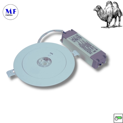ABS PC IP43 Внутренний 3W LED перезаряжаемый экстренный резервный запас отключенный нижний свет 3 часа длительный 230V LED экстренный свет для офиса гостиничного завода