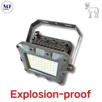 IP66 50W 75W 100W 150W 200W 240W 300W 350W 400W EATON Нефть Мингинг оффшорная зона взрывозащищенная светодиодная лампа